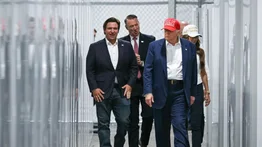 Florida: ¿Está en proyecto un nuevo Alligator Alcatraz? Ron DeSantis informa al respecto
