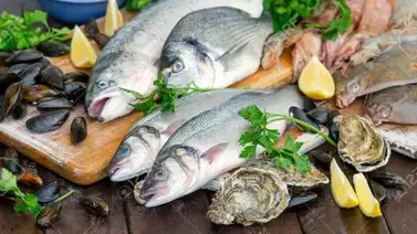 ¡Alarma en Florida! La bacteria carnívora está en estos alimentos: autoridades alertan a los ciudadanos ¡Alarma en Florida! La bacteria carnívora está en estos alimentos: autoridades alertan a los ciudadanos