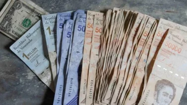 Sistema Patria: monto en bolívares del Ingreso por Guerra Económica para pensionados