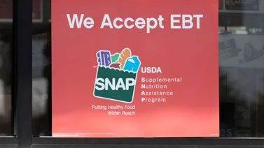 Estos son los estados donde las familias dependen más de los cupones SNAP: alcanzan niveles superiores al 20%