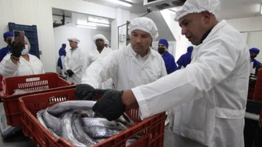 Venezuela envía 24 toneladas de tahalí a China: aquí los detalles