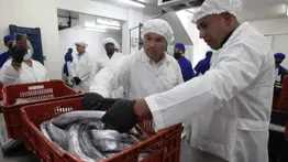 Venezuela envía 24 toneladas de tahalí a China: aquí los detalles