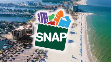 SNAP Florida pagos hasta el 27 de julio SNAP Florida pagos hasta el 27 de julio
