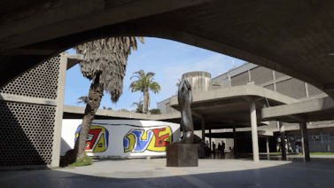 UCV extiende plazo para presentar la prueba interna hasta el 22 de julio: cronograma y horarios disponibles