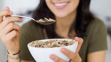 De ahora en adelante no solo le comprarás semillas de girasol a tus loros: revelan los milagrosos secretos curativos de estas pipas en tu salud De ahora en adelante no solo le comprarás semillas de girasol a tus loros: revelan los milagrosos secretos curativos de estas pipas en tu salud