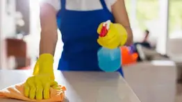 ¡Protegidos! Nueva ley para trabajadores domésticos en California: conozca su contenido