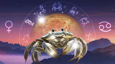 Venus en Cáncer: el hogar se llena de amor  Venus en Cáncer: el hogar se llena de amor