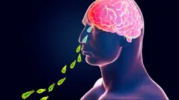 ¡Horror en Carolina del Sur! Así ataca la ameba comecerebros: la infección es letal 