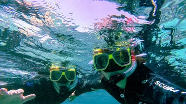 ¡Vacaciones de terror! Texano se lanza al agua para hacer snorkel y el hélice de un barco destroza sus piernas