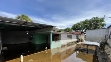 Crecida del Orinoco afecta a más de 2 mil personas en Amazonas: familias evacuadas ante nivel crítico del río Crecida del Orinoco afecta a más de 2 mil personas en Amazonas: familias evacuadas ante nivel crítico del río