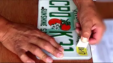 Renovación de matrícula vehicular en Florida Renovación de matrícula vehicular en Florida