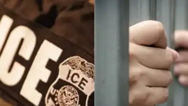 Arrestan a colombiana por pasear a su perro en una playa de Florida: casi es deportada por desconocer esta regla Arrestan a colombiana por pasear a su perro en una playa de Florida: casi es deportada por desconocer esta regla
