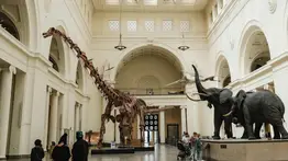 entradas-gratis-museos-chicago-