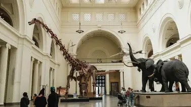 entradas-gratis-museos-chicago- entradas-gratis-museos-chicago-