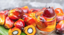 Este es el milagroso aceite natural hispanoamericano que permite un crecimiento sano de tu cabello: así debes aplicarlo en casa