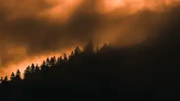 Incendios en Grecia: reportan seis bomberos heridos y 800 evacuados