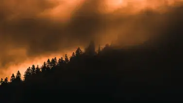 Incendios en Grecia: reportan seis bomberos heridos y 800 evacuados Incendios en Grecia: reportan seis bomberos heridos y 800 evacuados