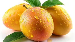 Trueque con mangos en Miami