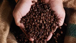¿No más café colombiano para EEUU? Alarma en los mercados por los aranceles de Trump