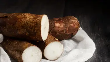 Los 6 trucos más efectivos para ablandar la yuca: hasta los secretos de la abuela funcionan para dominar este popular tubérculo Los 6 trucos más efectivos para ablandar la yuca: hasta los secretos de la abuela funcionan para dominar este popular tubérculo