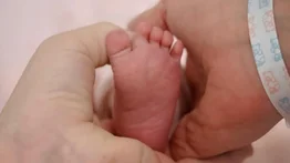 ¡Ya nació! Lele Pons y Guayana le dan la bienvenida a su primera hija