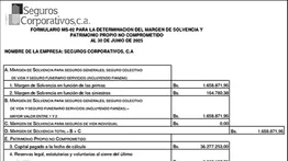 SEGUROS CORPORATIVOS, C.A. FORMULARIO MS-02 28 JUL 2025