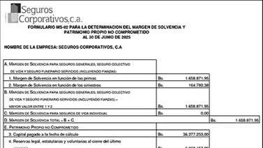 SEGUROS CORPORATIVOS, C.A. FORMULARIO MS-02 28 JUL 2025