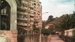 En video: la visita de un mono que se trepa en las rejas de los apartamentos causa revuelo en Carrizal