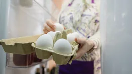 Alarga la vida útil de los huevos en tu casa: no cometas este error tan común a la hora de almacenarlos y descubre el truco milagroso que pocos conocen