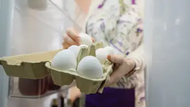 Alarga la vida útil de los huevos en tu casa: no cometas este error tan común a la hora de almacenarlos y descubre el truco milagroso que pocos conocen Alarga la vida útil de los huevos en tu casa: no cometas este error tan común a la hora de almacenarlos y descubre el truco milagroso que pocos conocen