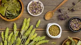 Esta superplanta es rica en magnesio y potasio: hasta tiene más calcio que la propia leche