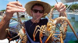 "Salimos con amigos y familiares": así se vivió en Florida el inicio de la temporada de langostas, toda una gran fiesta marina