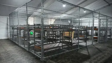 El lado oscuro de Alligator Alcatraz: ordenan revelar los secretos del temido centro de reclusión de migrantes El lado oscuro de Alligator Alcatraz: ordenan revelar los secretos del temido centro de reclusión de migrantes
