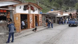 2001online - Caracas- Plan