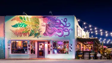 Florida investiga evento LGBT: exigen videos y listas de las personas invitadas Florida investiga evento LGBT: exigen videos y listas de las personas invitadas