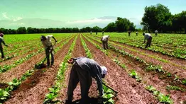 Caravana recorrerá zonas rurales de New York en apoyo a los inmigrantes: aquí el cronograma de actividades