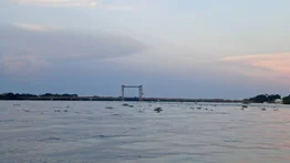 Baja el nivel del agua en ríos de Apure: autoridades anuncian la pronta reactivación  del paso en Bruzual