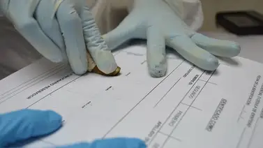¿Cómo se identifican los cuerpos tras el desastre? El método forense clave ¿Cómo se identifican los cuerpos tras el desastre? El método forense clave