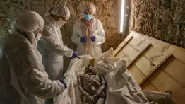 Uso de la cal en emergencias sanitarias: mitos y realidades sobre la descomposición de cuerpos