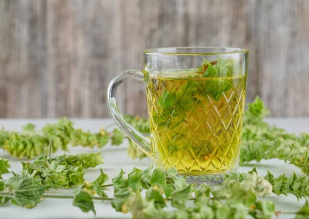 Vence el insomnio con esta infusión natural que relaja el sistema nervioso: así debes consumirla para aprovechar su efecto Vence el insomnio con esta infusión natural que relaja el sistema nervioso: así debes consumirla para aprovechar su efecto