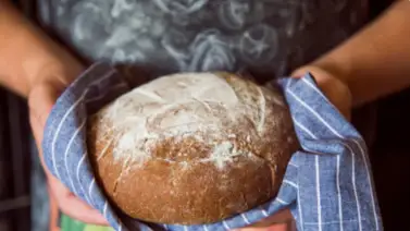 Guía práctica para congelar y descongelar el pan: pasos sencillos para no perder calidad Guía práctica para congelar y descongelar el pan: pasos sencillos para no perder calidad