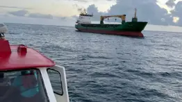 ¡Olas de hasta tres metros! INEA emite alerta de seguridad marítima para estos estados del país