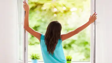 Por la salud de todos: Aprende a purificar el aire dentro de casa Por la salud de todos: Aprende a purificar el aire dentro de casa