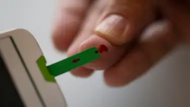 Este es el fruto seco que regula el nivel de glucosa en la sangre: entérate aquí la cantidad que debes comer al día Este es el fruto seco que regula el nivel de glucosa en la sangre: entérate aquí la cantidad que debes comer al día