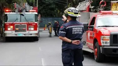 ¿Por qué aparecen animales salvajes tras un sismo? Bomberos responden la duda ¿Por qué aparecen animales salvajes tras un sismo? Bomberos responden la duda