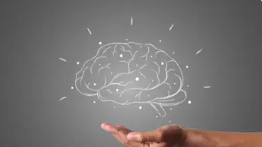 Protección mental: hábitos diarios que salvan la memoria y transforman el bienestar general Protección mental: hábitos diarios que salvan la memoria y transforman el bienestar general