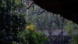 Cielo despejado en varias regiones del país: Inameh pronostica lluvias en algunos estados
