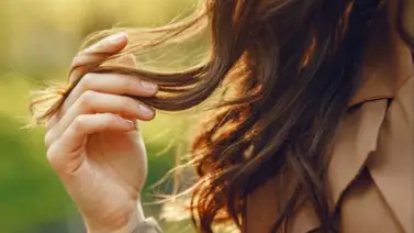 Dile adiós a las puntas abiertas con esta mascarilla de aloe vera: así debes aplicarla Dile adiós a las puntas abiertas con esta mascarilla de aloe vera: así debes aplicarla