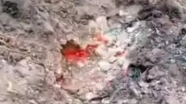 ¡Alerta en Táchira! Reportan emergencia geológica que destruye el suelo: esto se sabe ¡Alerta en Táchira! Reportan emergencia geológica que destruye el suelo: esto se sabe