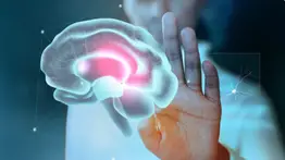 Científicos descubren que la versatilidad de las neuronas es la clave de nuestra mente: el enigma del cerebro